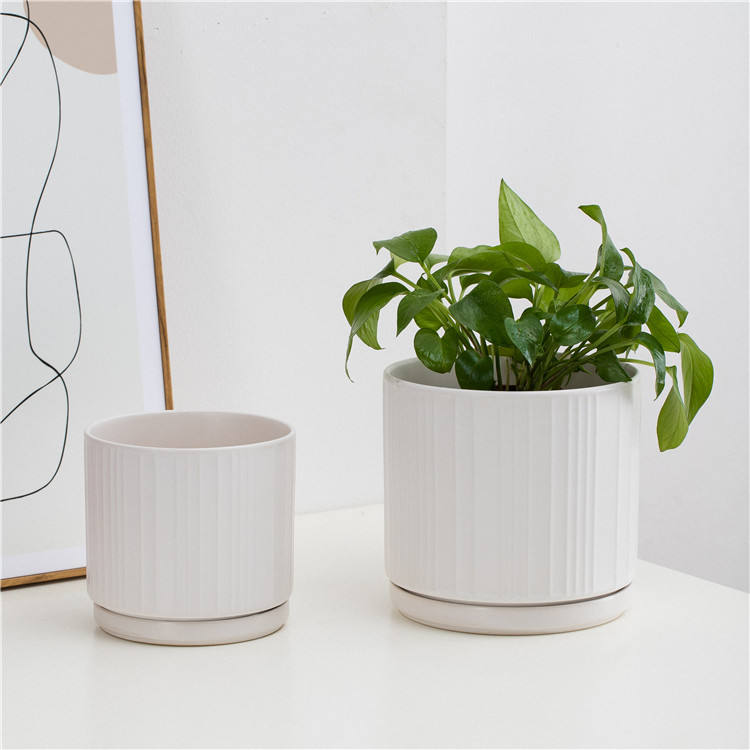 White ceramic plates for every occasion