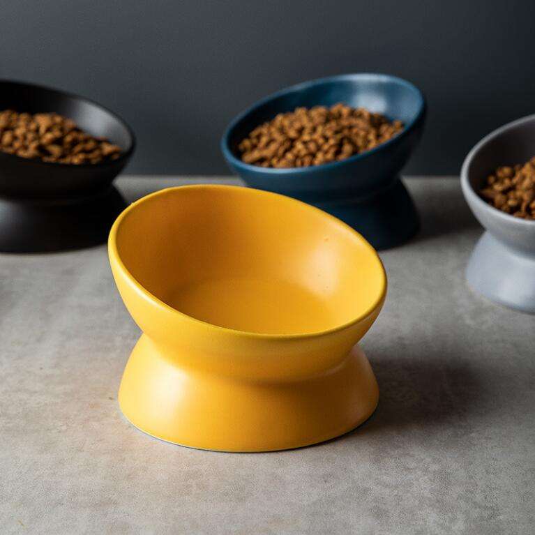 Ny design flerfarget høyfotskål for katter beskytter nakkesøylen skrå munn keramisk skål for kjæledyr