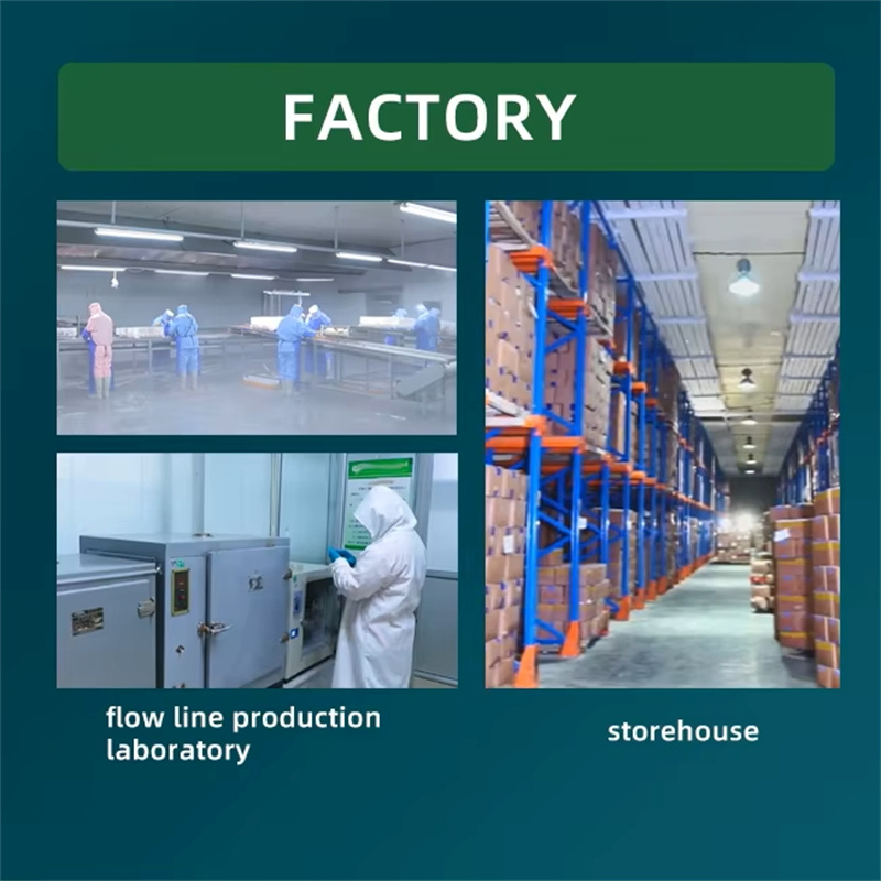 introduction of the factory.jpg