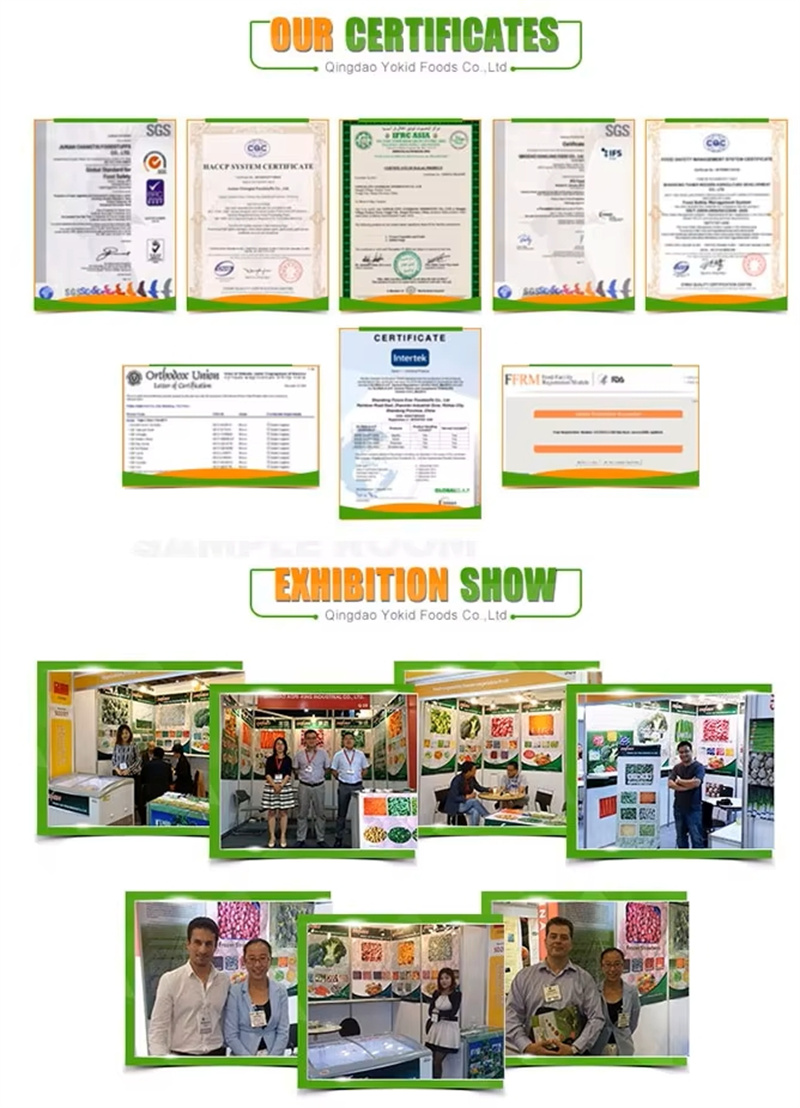 Company Certificate Qualifications2.jpg