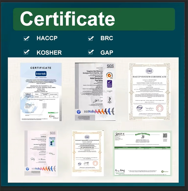 Company Certificate Qualifications.jpg