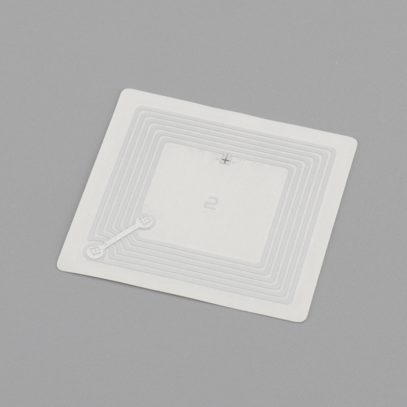 Citronix C-type Ink Chip SEN1766