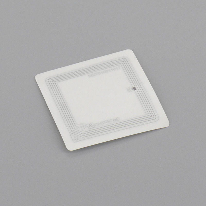 Citronix C-type Solvent Chip SEN1767  
