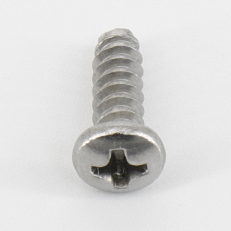 Domino Tornillo de cabeza plana tipo pan, acero inoxidable 304, M4 × 12 mm SYN0070 DM-PL1581