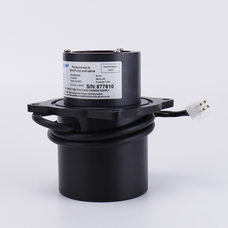 Domino Model Lama D-jenis Motor HGN0097