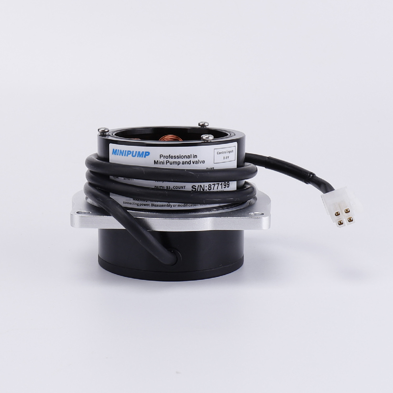 Domino Motor Baharu D-jenis HGN0064