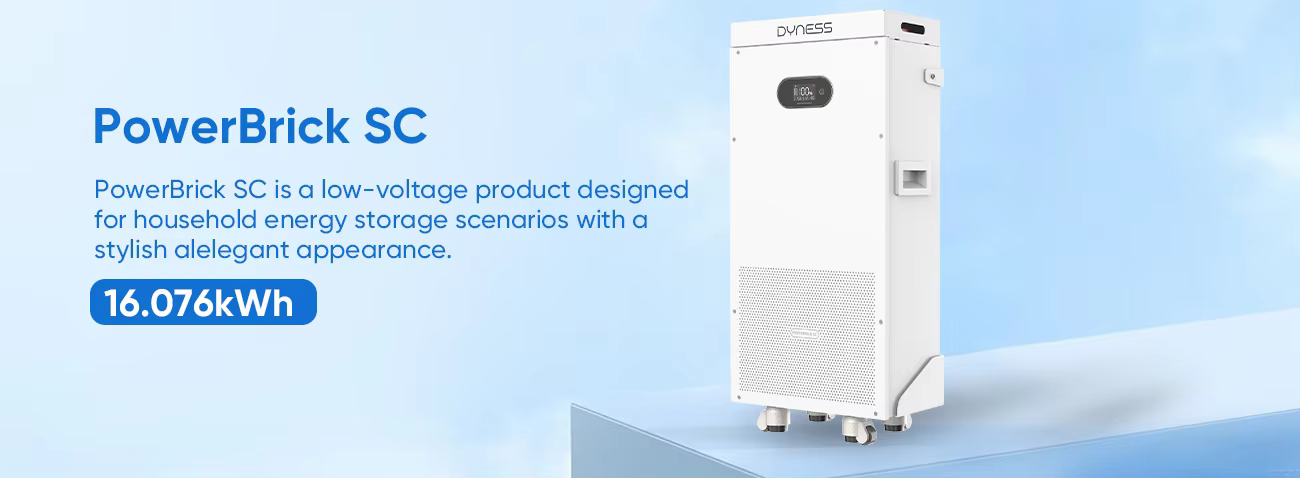 Dyness PowerBrick SC Battery 16kwh 51.2v 314ah Lithium Battery Home Energy Storage Battery supplier