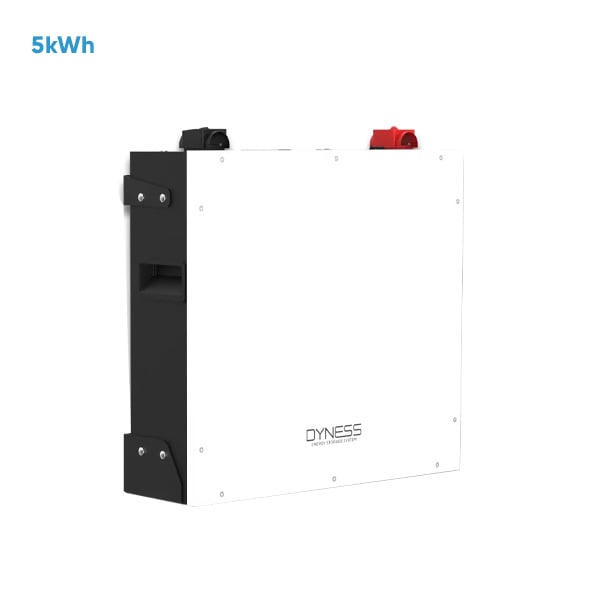 Dyness DL5.0C 51.2v 100ah 5kwh 5.12kwh Lithium Ion Rack Mounted Battery Home System Energy Storage Battery