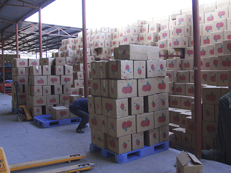 Dağıtım Paletleri: Verimli Tedarik Zinciri Operasyonları İçin Doğru Plastik Paleti Nasıl Seçersiniz?