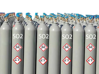 SO2 Gas: Preserving Food Freshness and Quality through Anti-browning Properties