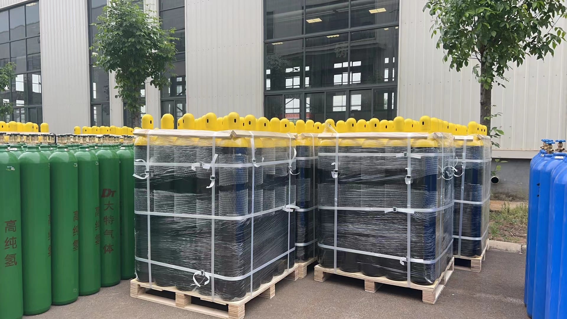 How Compressed Gas Quality Impacts Your Operations and Bottom Line