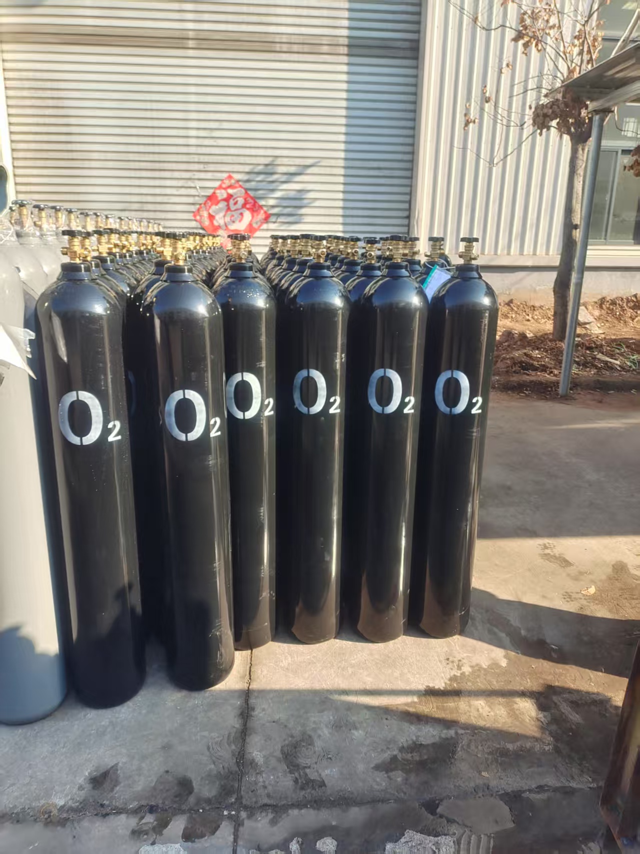 What Are the Latest Trends in CO2 Technology for Wholesale Buyers?