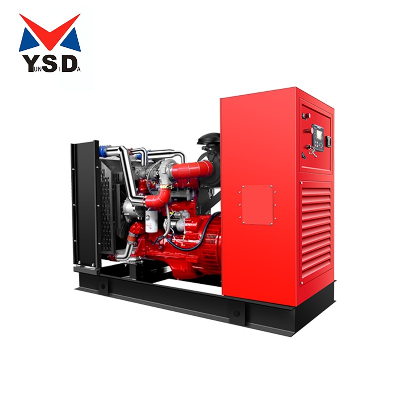 biogas generator set