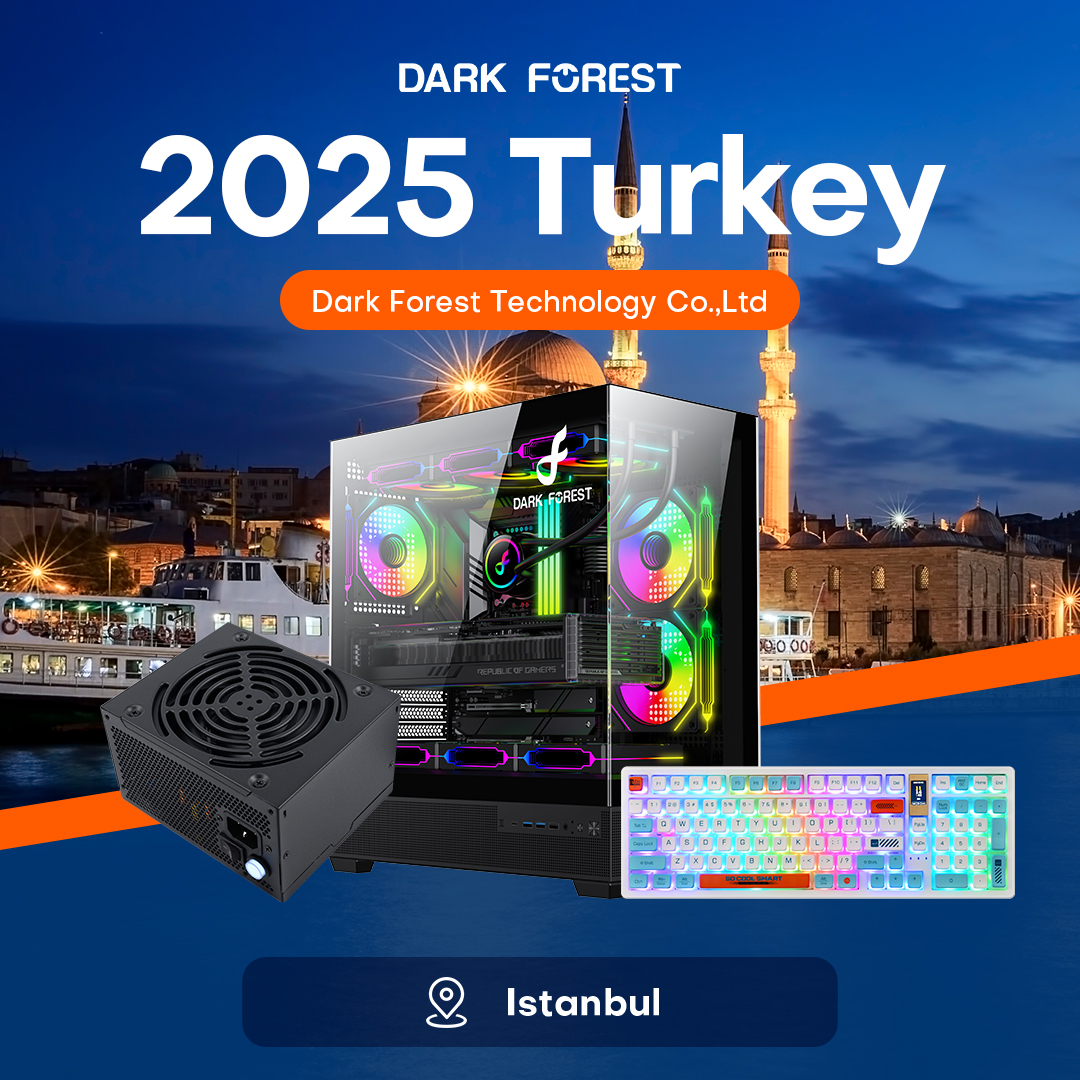 DARK FOREST&TURKEY 2025