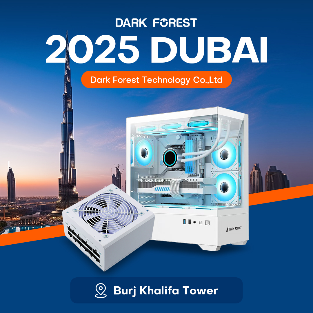 DARK FOREST&DUBAI 2025