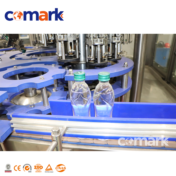 Full 12000BPH Glass Bottle Beverage Filling Plant
