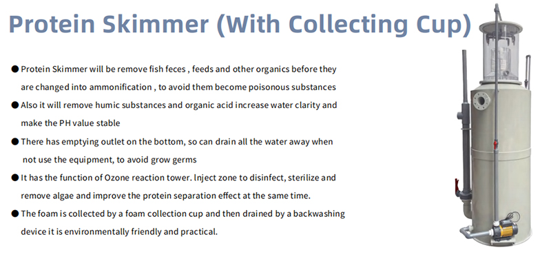 protein-skimmers.jpg