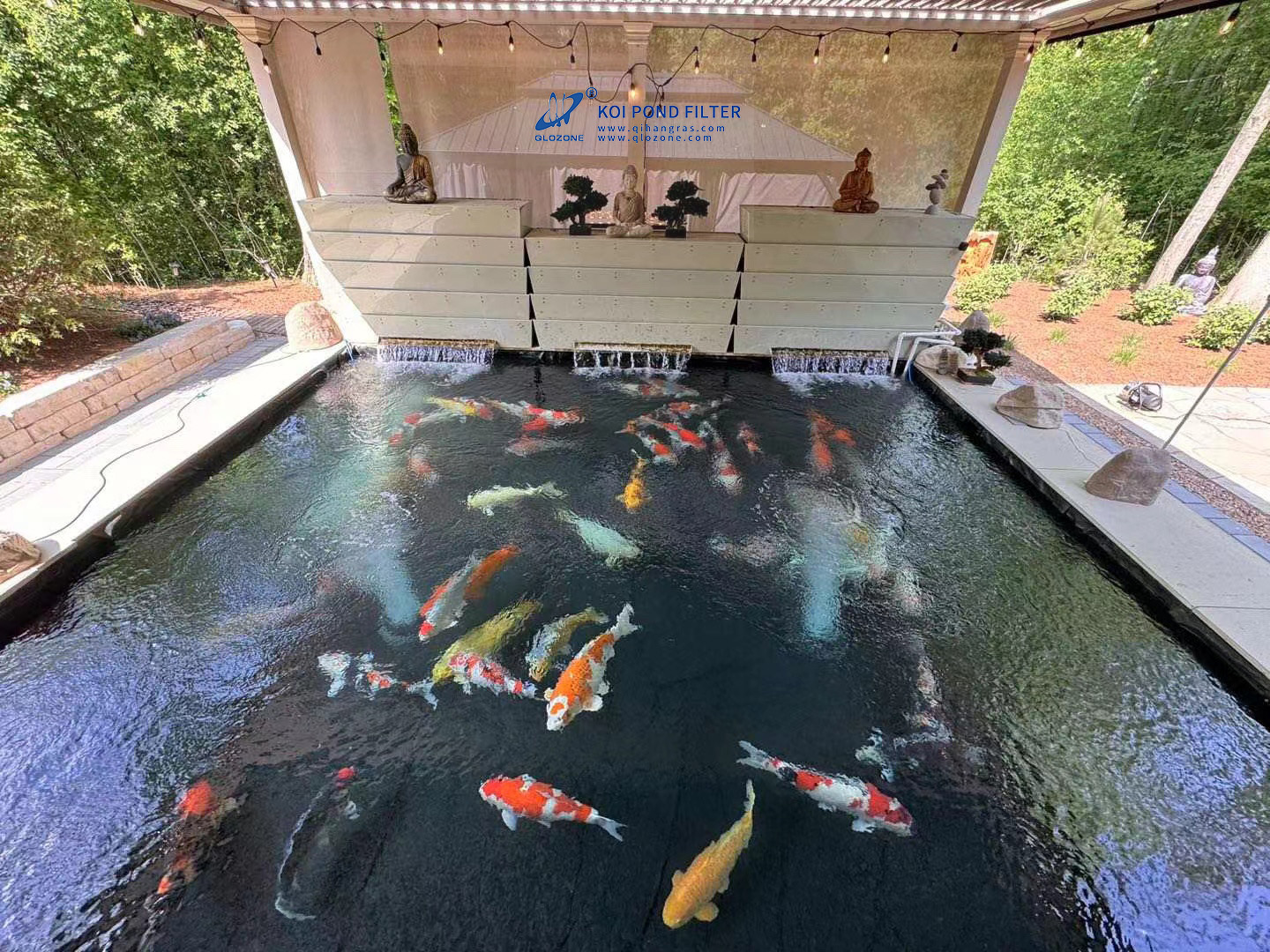 BAKKIシャワーフィルターで鯉の池を向上させよう — 最高の4層フィルトレーションソリューション