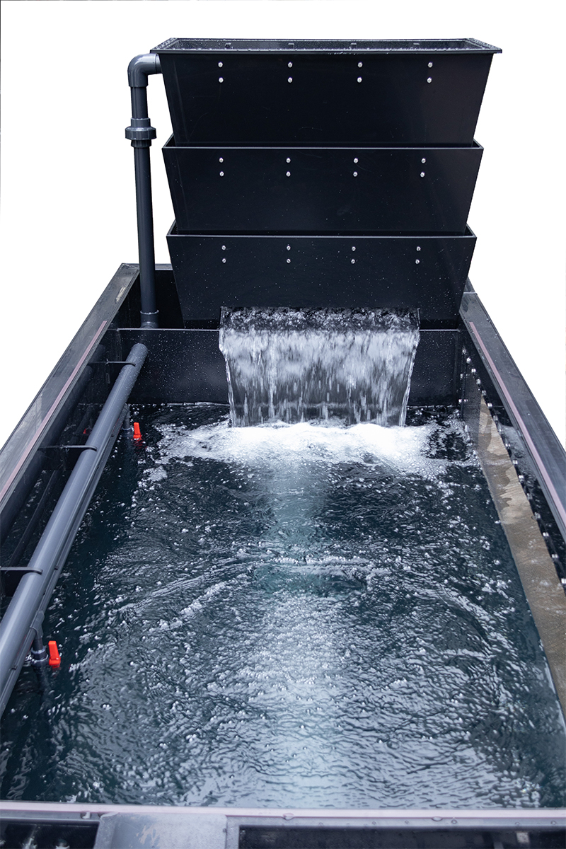 integrated-fish-pond.jpg