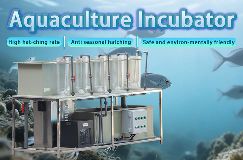 RAS-fish-incubator.jpg