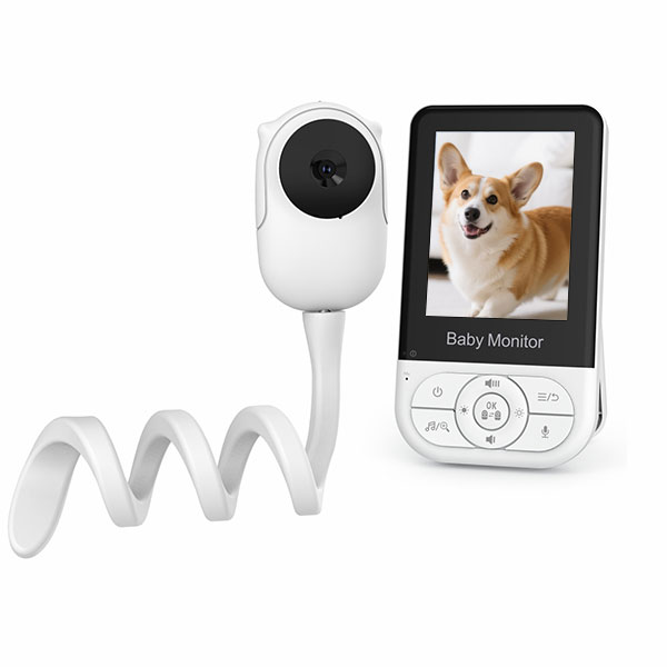 How to Set Up Your Dog Camera for Optimal Viewing