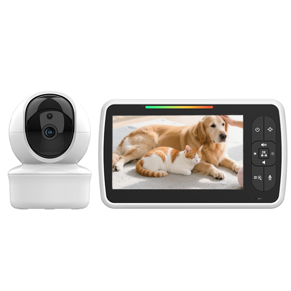How to Use Pet Cameras for Training and Behavior Monitoring