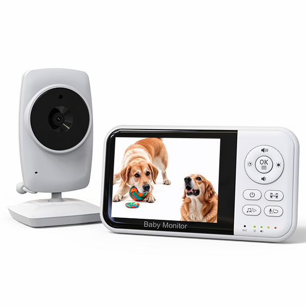 Common Usage Issues with Pet Cameras and How to Solve Them