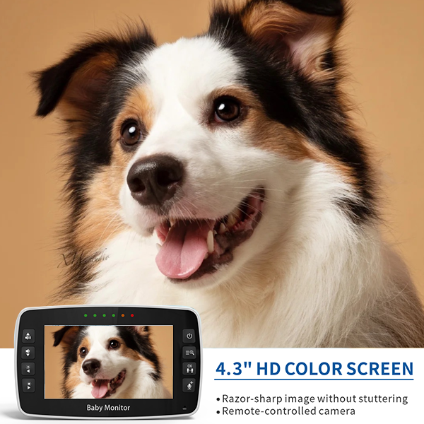 What Features Make a Pet Surveillance Camera Stand Out?