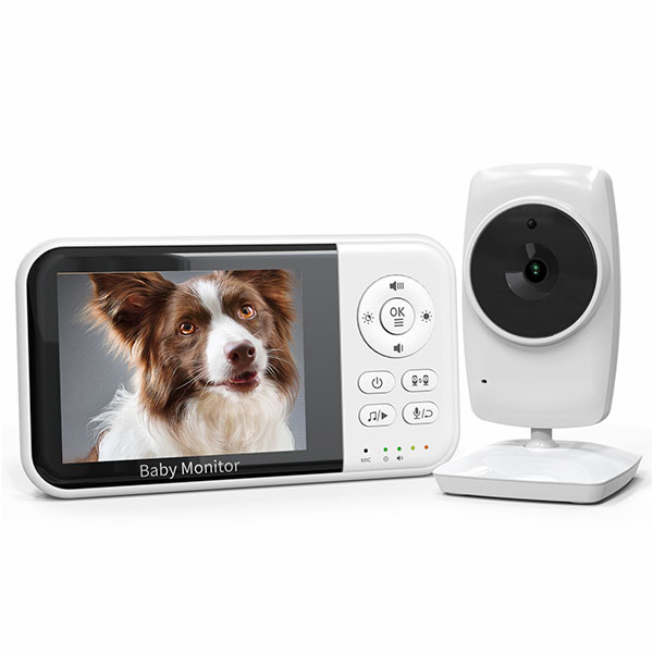 Where to Buy Affordable Dog Cameras in Bulk for Reselling