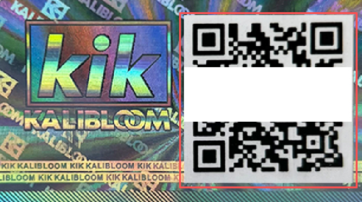 Hologram Sticker.jpg