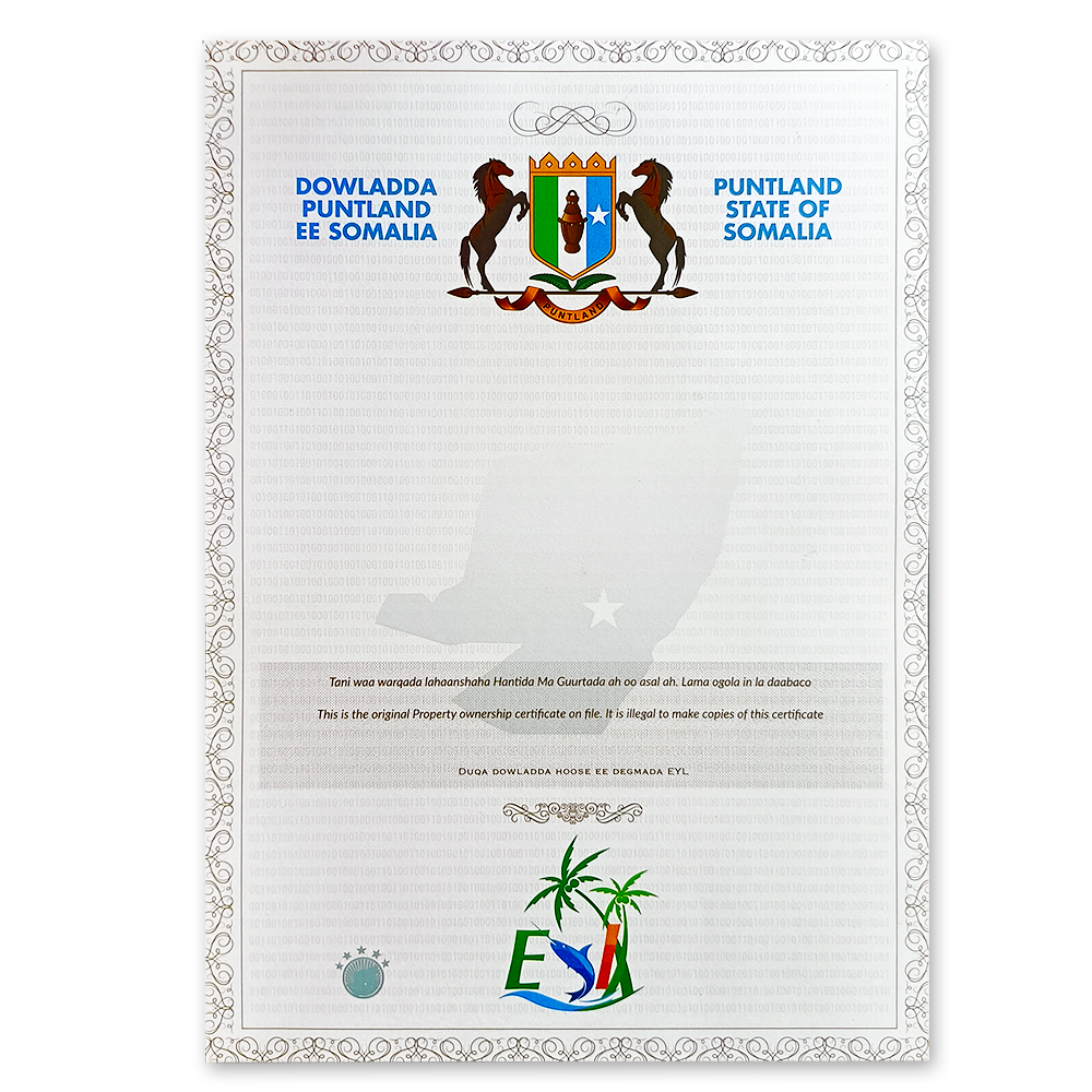 Why Security Document Paper Needs Watermarking