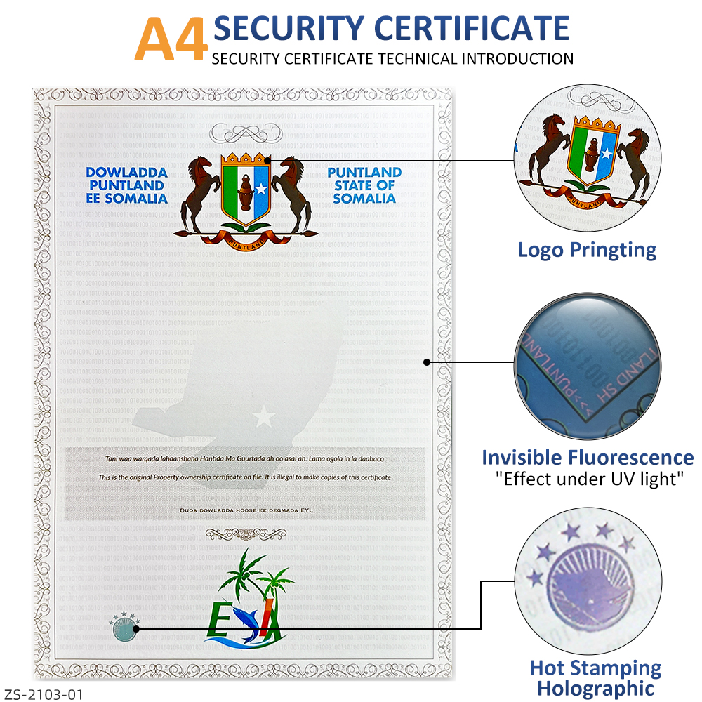 The Role of Security Certificates in Global Trade
