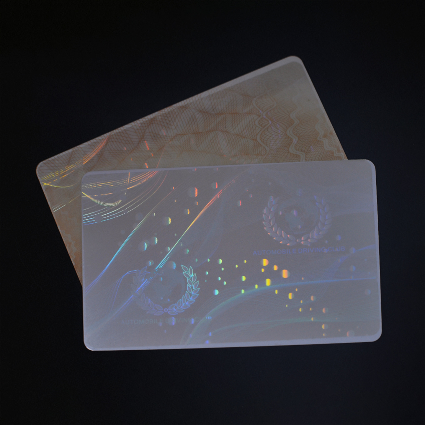How to Make a Secure Optical ID Card (5).jpg