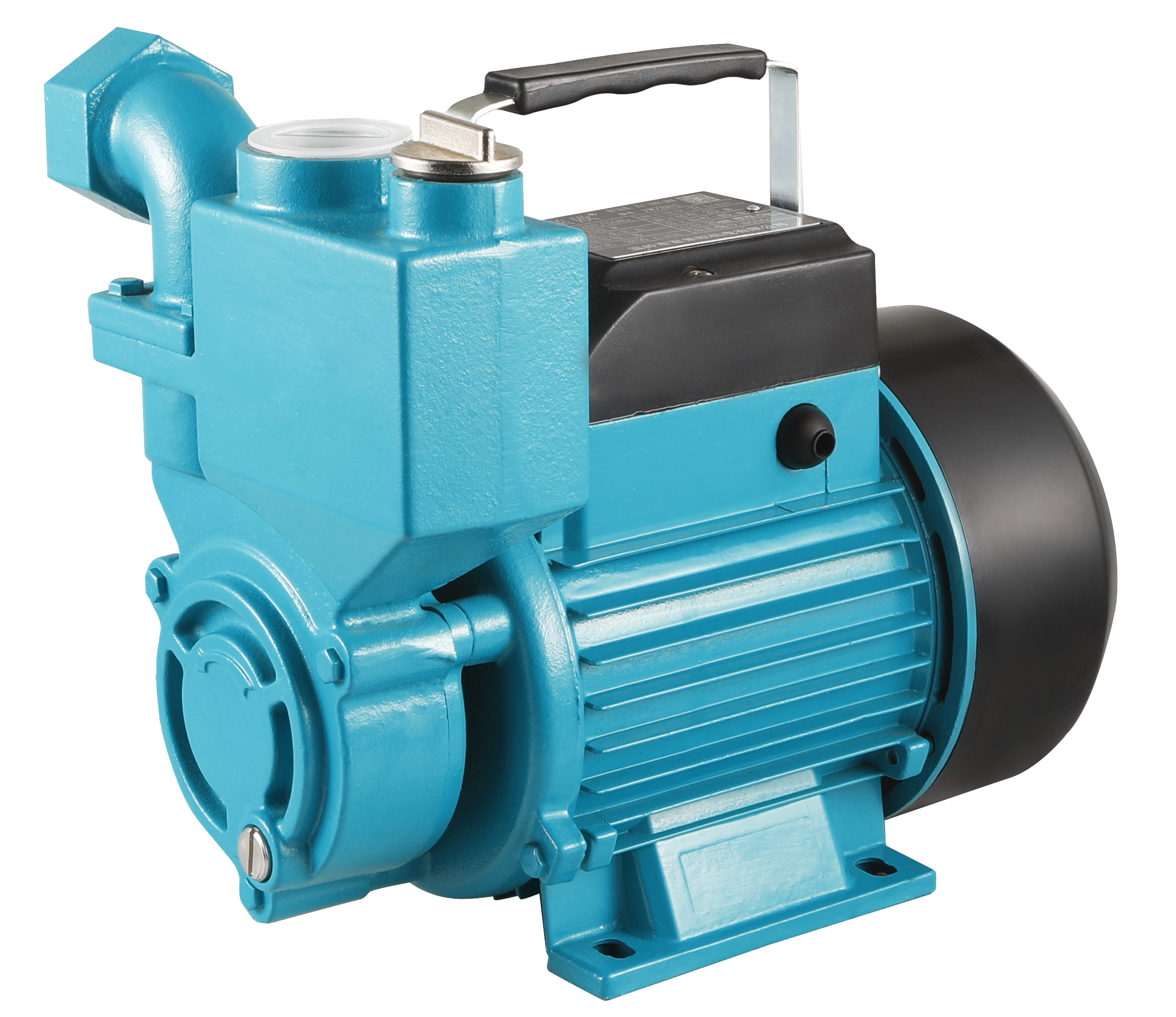 WZB Domestic Water Pump.jpg