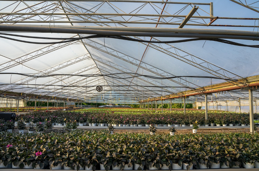 Pompes de surface à variateur de fréquence (VFD) à aimant permanent pour l’irrigation agricole commerciale au Kenya