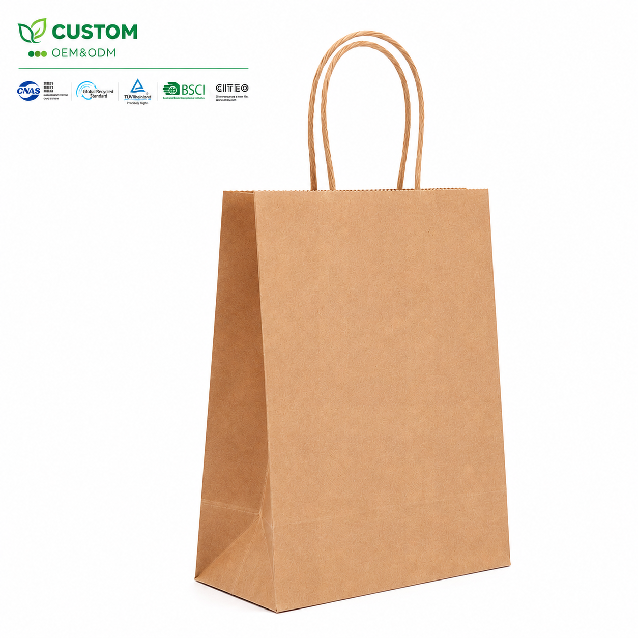 Custom Blank Brown Kraft Paper Retail Bag with Twisted Handles