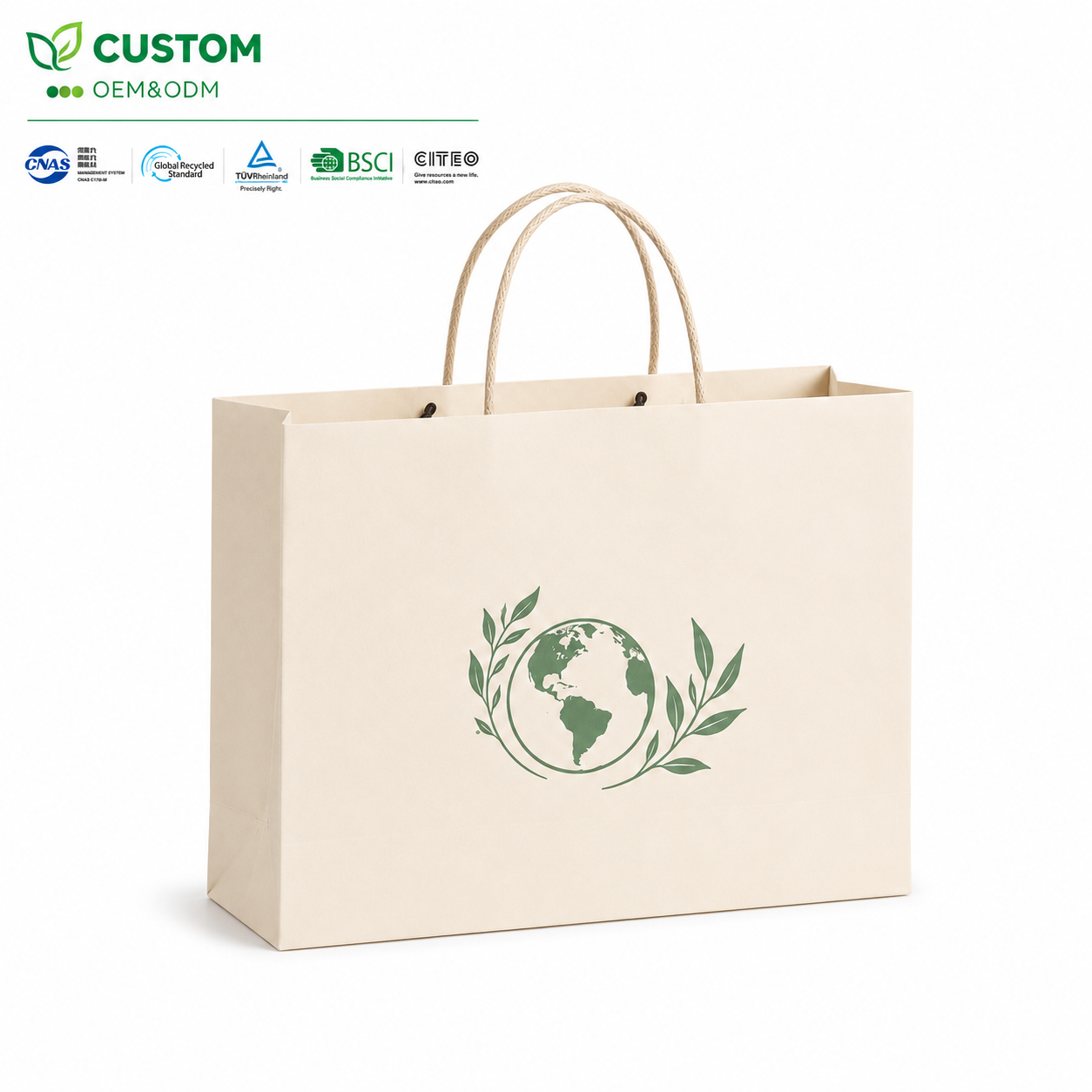 Custom Landscape Eco-Friendly Paper Shopping Bag with Twisted Handles