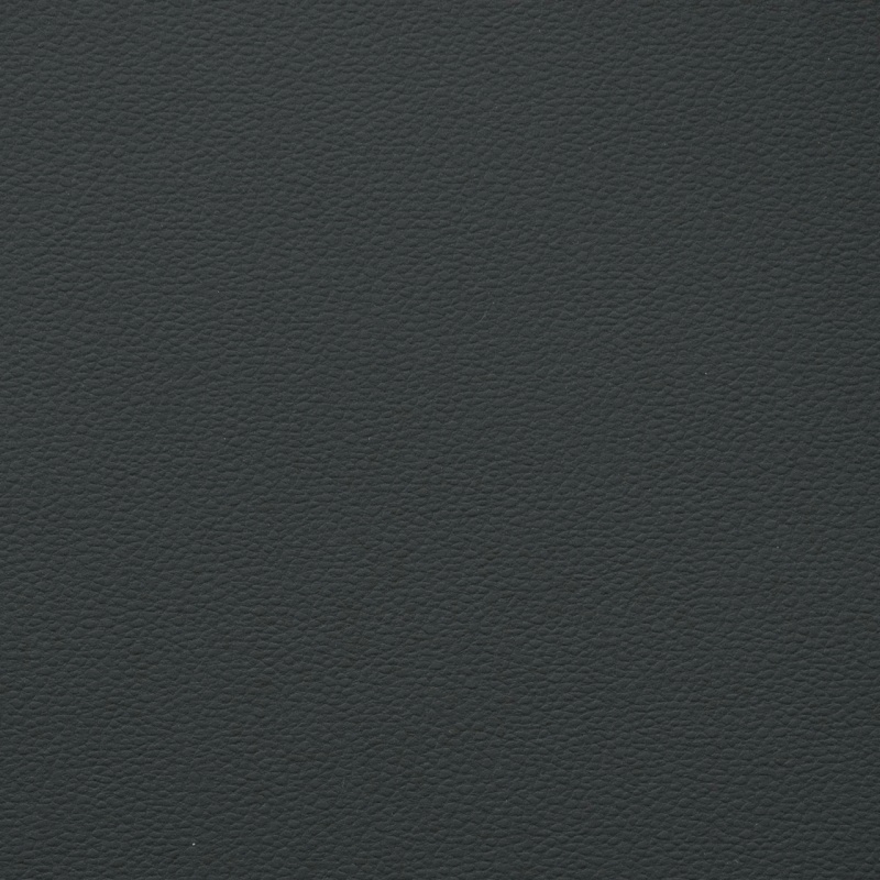 VW Ant