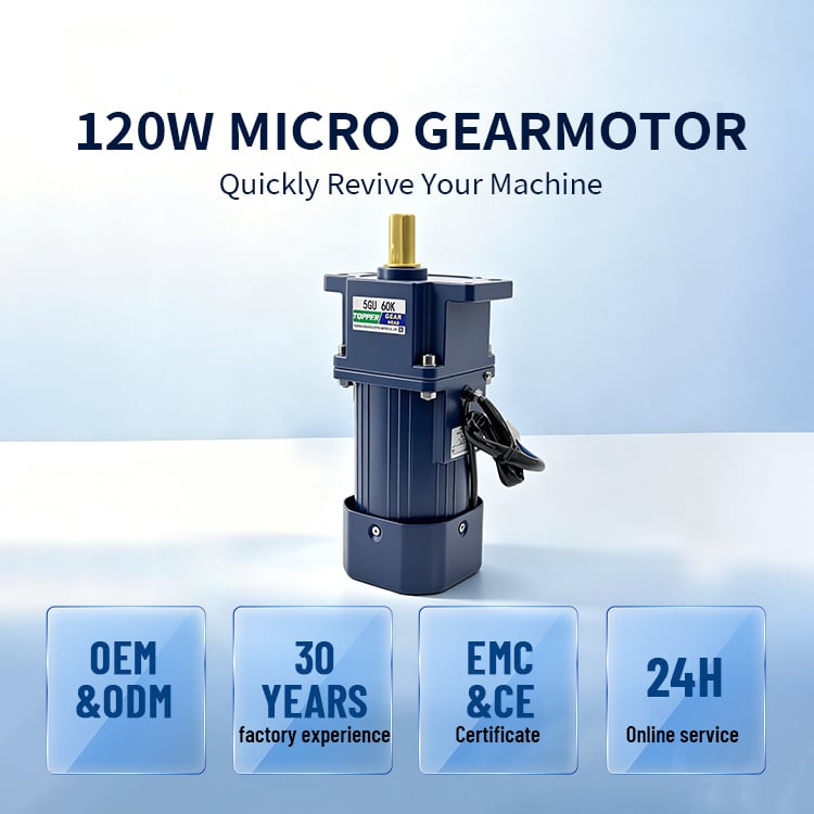 5IK120GN+5GN100K Single-Phase Micro AC Gear Motor Constant Speed Worm Gear 110/220V 5:1 Ratio Food Processing Machine Use ODM