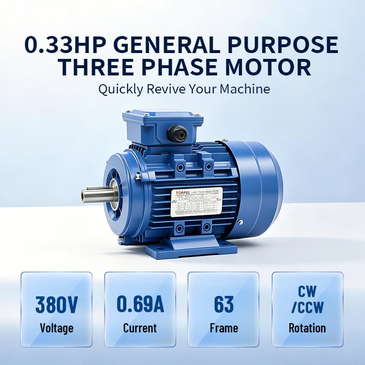 0.33HP HIGH QUALITY MS(ALU) SERIES THREE-PHASE ASYNCHRONOUS MOTOR