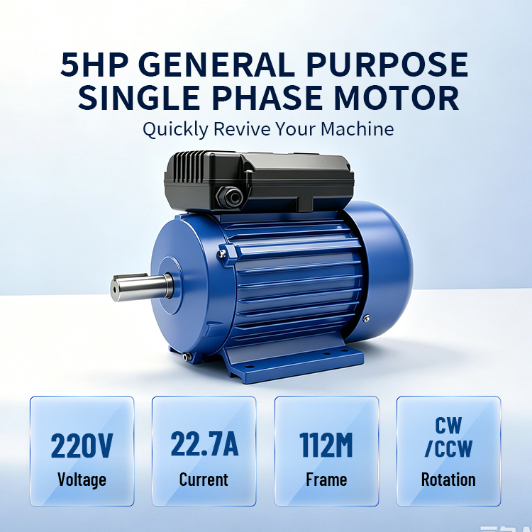 YL112M2-4-3.7kw 5HP Two Capacitor 110V/220V 50Hz B3 B5 Mounting Electric Single Phase Induction Motor for Air Compressor