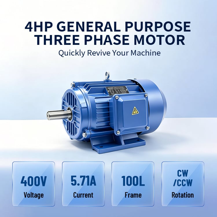 IEC Standard Ye3-100L1-2-3KW 4HP Cast Iron AC General Purpose Three Phase Electric Motor