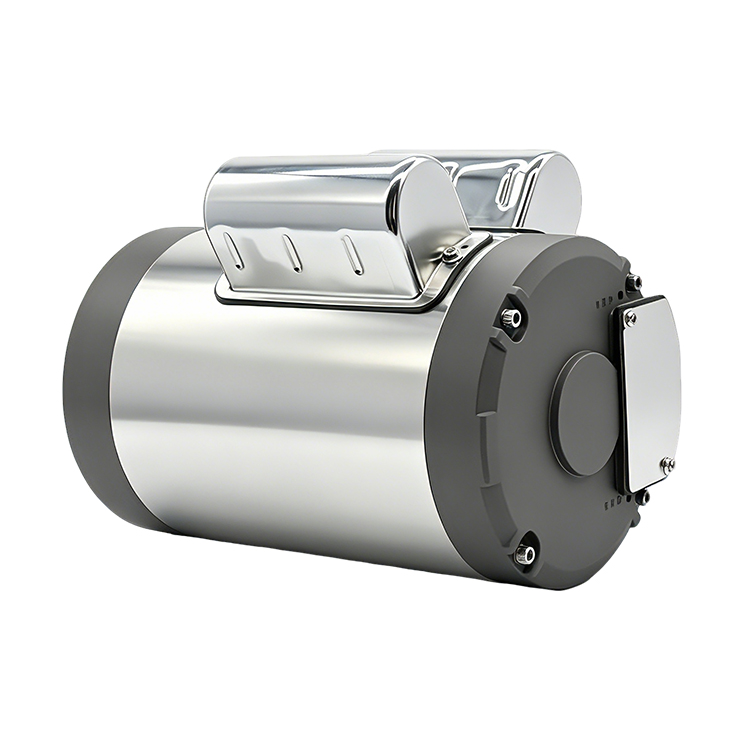 Topper Custom Series Stainless Steel Single Phase Nema Motor for Apparel Machinery