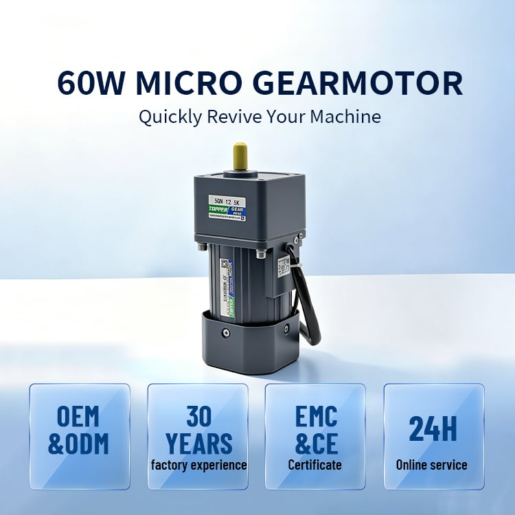5IK60GN-5GN3-300K Dongye Made 220V/380V Single Phase Small Motor AC Gearmotor Electric Micro Motor
