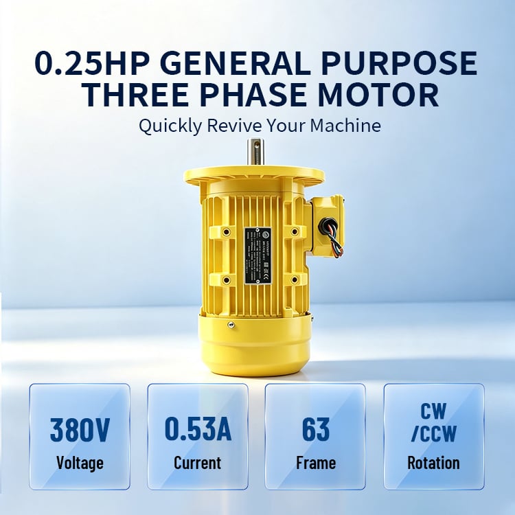 MS631-2-0.25HP Three Phase Electric Asynchronous Motor High Efficiency Energy Saving AC Motor