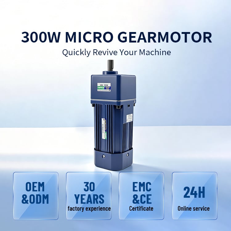 6IK300GN-6GN3-300K AC Reversible Electric Micro Gear Speed Reduction Motor with Aluminium Housing & Waterproof Protection