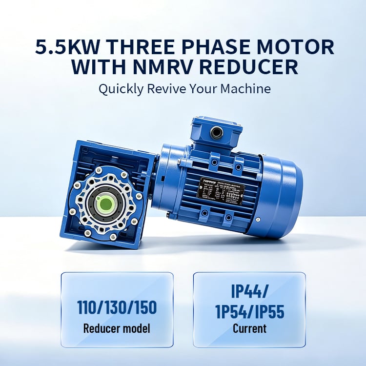 Three-Phase Aluminum Worm Electric Motor NMRV110 with High Torque AC 380V/220V Frequency 50Hz/60Hz ODM