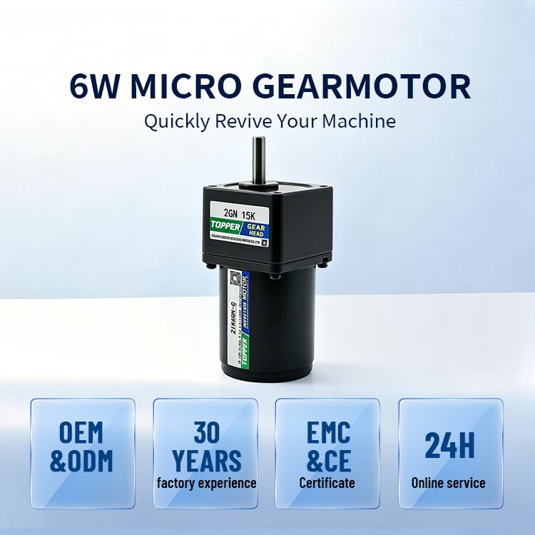 Micro AC Gear Moto/Small Size Micro Gear Motor