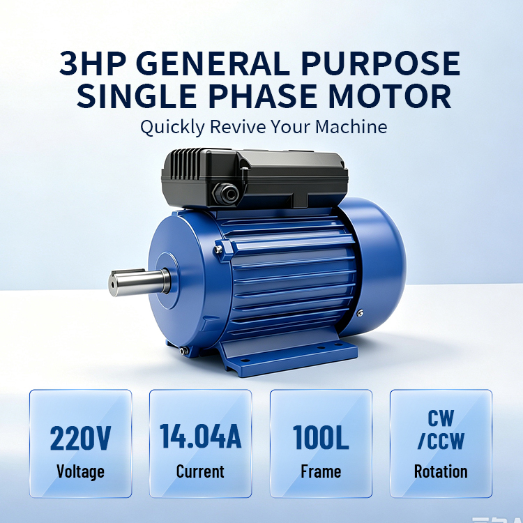 YL100L1-4-2.2KW 3HP 4P 1500RPM HIGH QUALITY & SAFE SINGLE-PHASE DUAL-CAPACITOR INDUCTION MOTOR