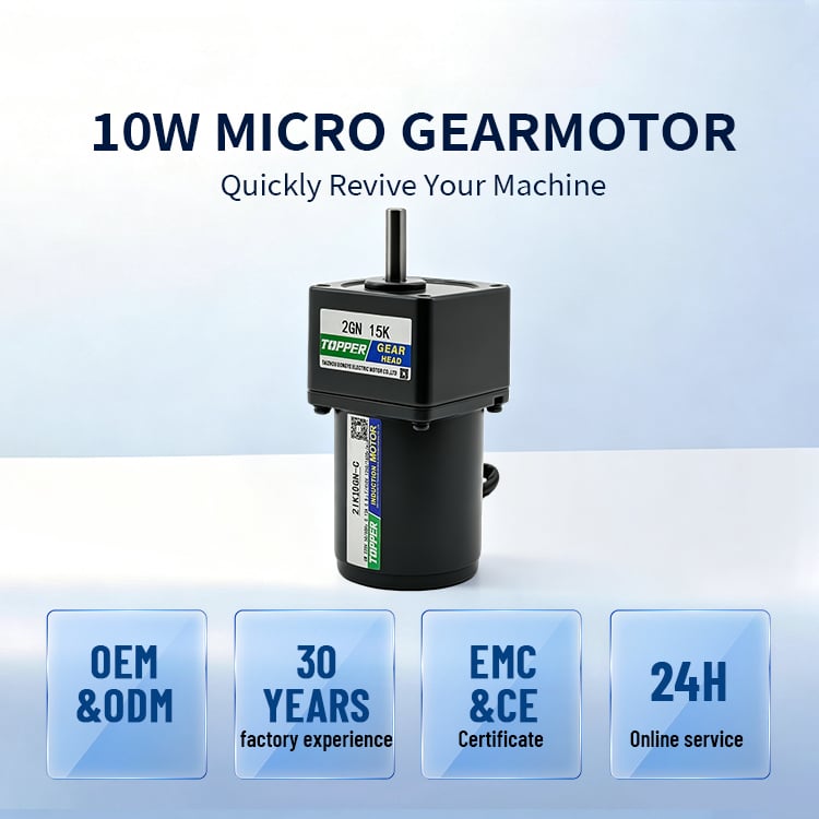 10w Micro Gear Motor Single Phase AC gear motor gear reducer
